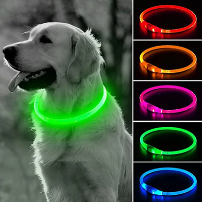 Led Dog Collar Luminous Usb Cat Dog Collar 3 Modes Led Light Glowing Loss Prevention LED Collar for Dogs Pet Dog Accessories