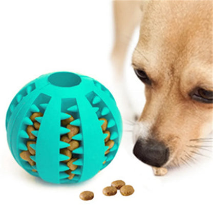 Puppy Play & Chew Ball