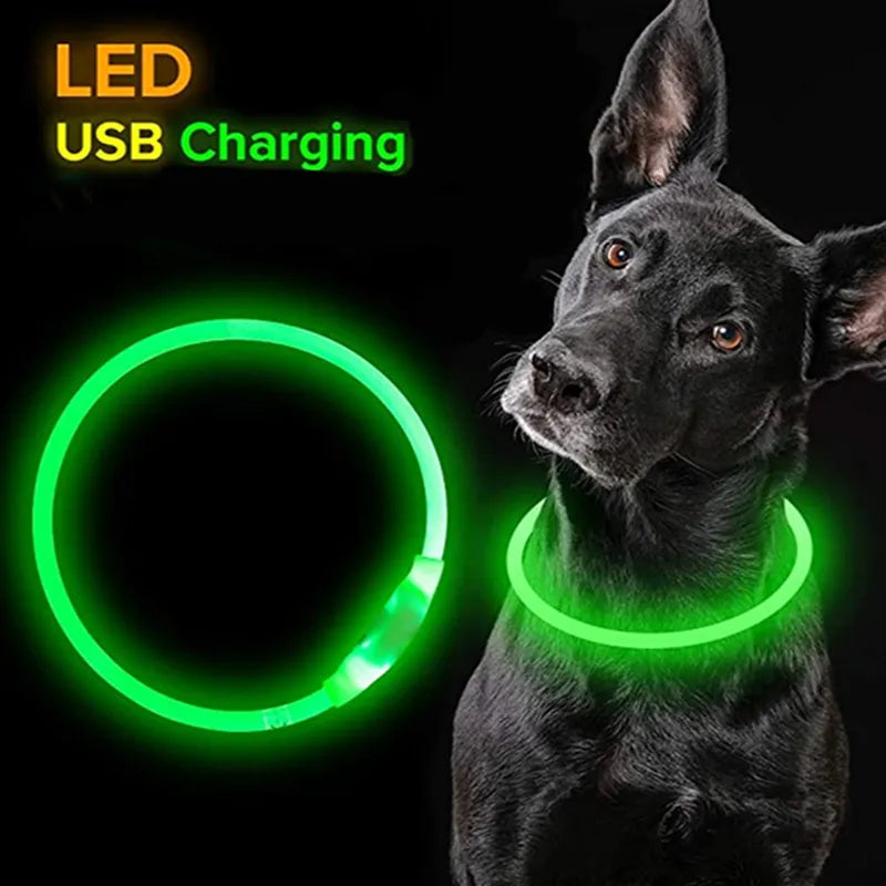 Led Dog Collar Luminous Usb Cat Dog Collar 3 Modes Led Light Glowing Loss Prevention LED Collar for Dogs Pet Dog Accessories